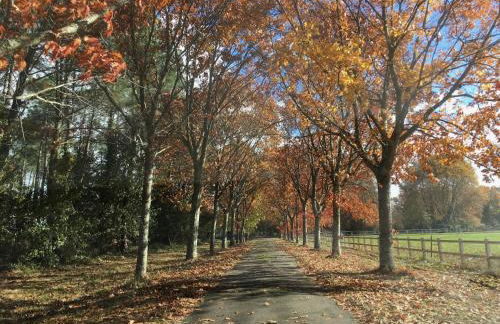 Domaine forestier Darricau au bord du lac, 12 min de l'océan - Foto 62