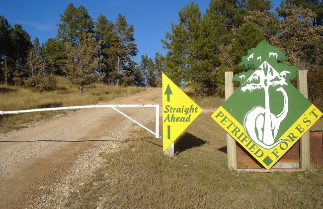 Elk Creek Resort - Foto 66