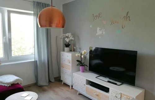 Ludwigsburg, ruhige Lage im Grünen, Schlossnähe, blühendes Barock - Photo 12