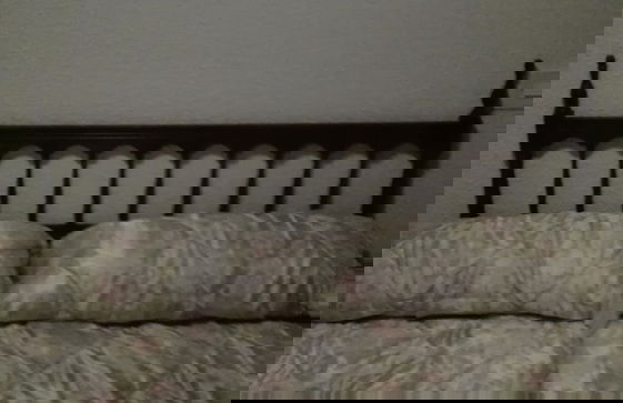 Apartamentos Guardamar del Segura - Foto 6