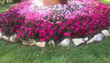 Villa I Parioli - Foto 5