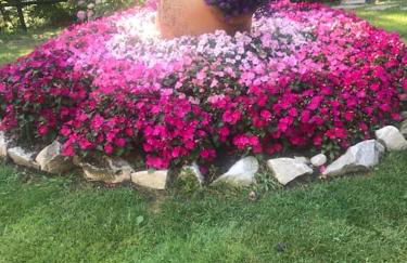 Villa I Parioli - Foto 5