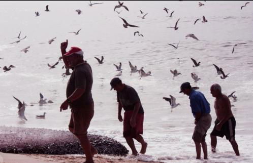 Palheiro da Tocha - Foto 17
