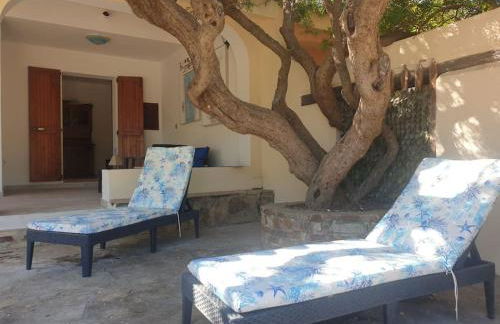 Villa Lentischio - Foto 42