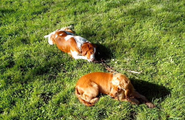 Apartments Carrera - Foto 24