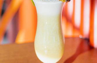 Pelican Alvor - Foto 27