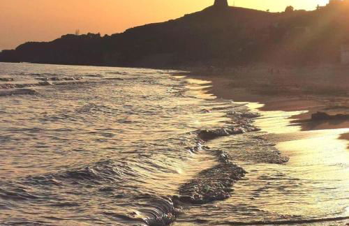 Timone d’oro - Foto 30