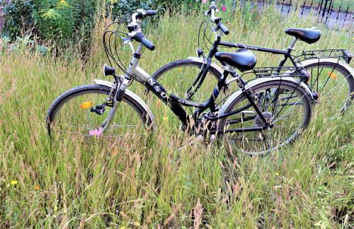 Ferienwohnung-M8 im schönen Werratal - Foto 6