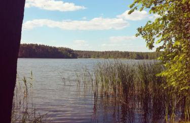 Dom w Puszczy Noteckiej - Foto 10