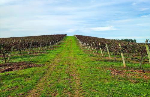 Historic Vineyard Retreat - 1785 Country Cottage in Peral - Foto 59