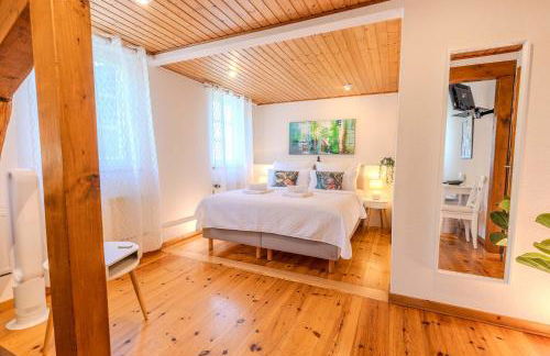 Weingut Muehlenschenke - Game-Room, Vineyard, Sauna and more - Foto 45