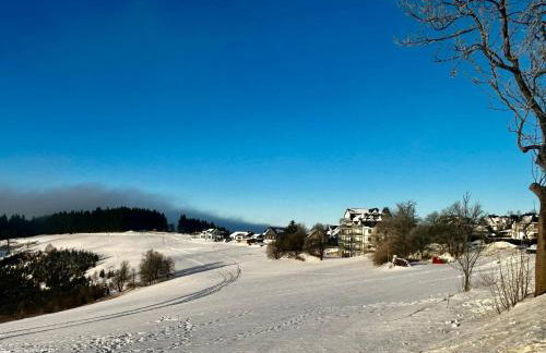 Astenblick Apartments Winterberg with sauna - Photo 58