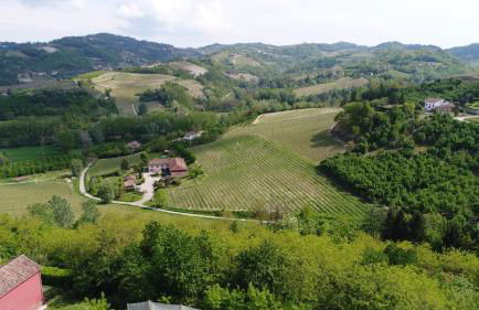 La Giribaldina Winery & Farmhouse - Foto 19