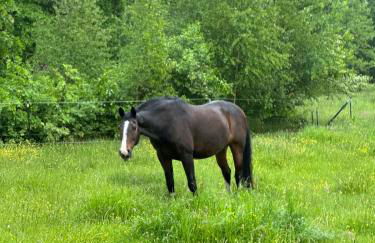 Carpe Deimern in der Lüneburger Heide - Foto 43