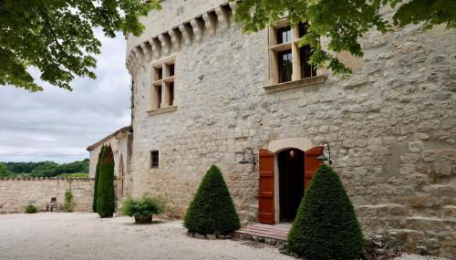 Château de Pleneselve - Foto 3