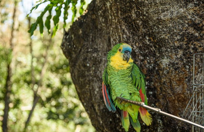 Hotel Recanto da Cachoeira - Foto 26