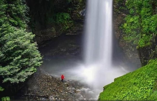 Dereli Suit Apart - Foto 55