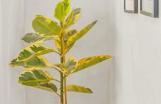 Villa Descanso - Photo 22