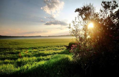 Apartment in Falkenstein With Wood-burning Stove - Foto 50