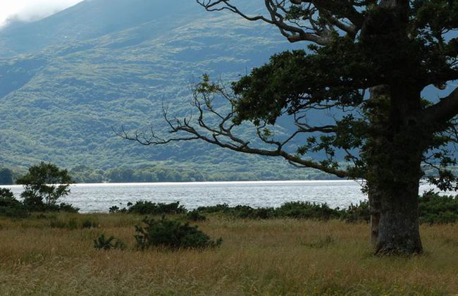 Innisfallen Holiday Homes - Foto 20