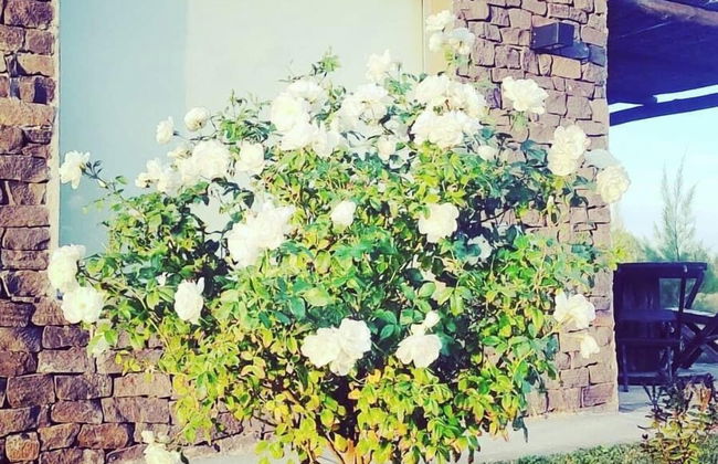 Viento Andino - Foto 8