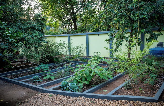 Hibiscus Earth - CGH Earth - Foto 16