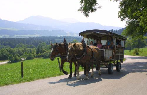 Urheim Rose - Dogfriendly - Foto 18