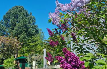 Haus Viking - Foto 31