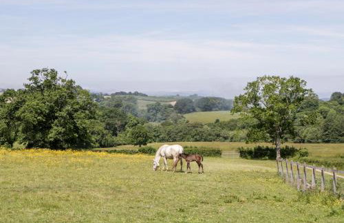 The Outlook - Foto 28