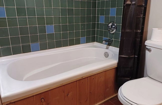 Rustic Beaverfoot Lodge Dream Cabin - Photo 17