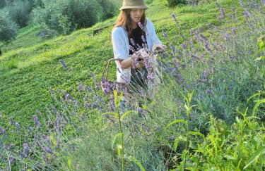 All ' ombra del lauro - Foto 27