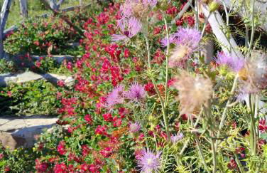 Oliveri house - Foto 21