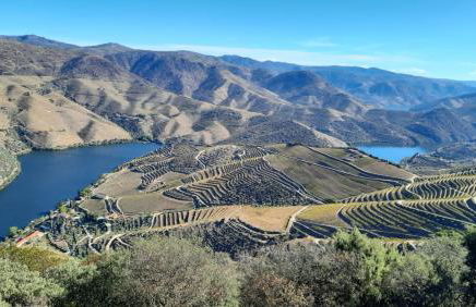 Andar Moradia T4 na Casa do Olival - Foto 41