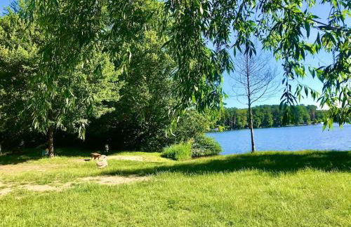 FEWO PARTNERS Haus Clemens - Gemütliches Holzhaus mit Grundstück nahe Badesee - Photo 35