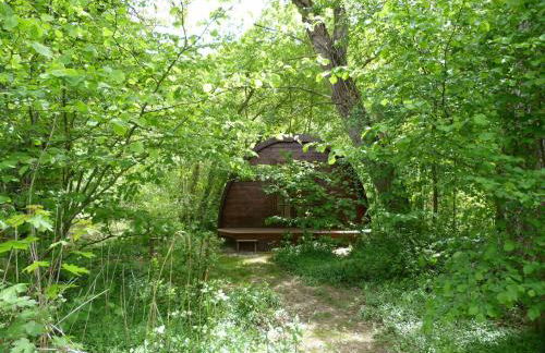 Gite nature les ANOURES en PROVENCE - Foto 8