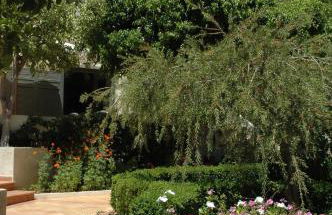 Villa Pefki - Foto 46