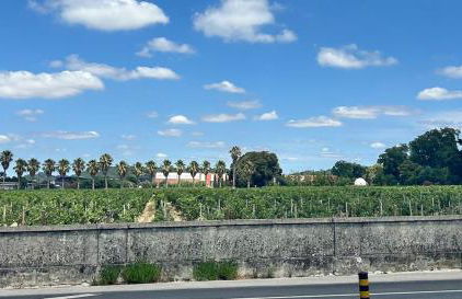 Casa da Arrábida - Foto 30