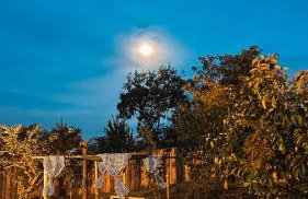 Casa confortável, pertinho da cidade e conectada a natureza - Foto 30