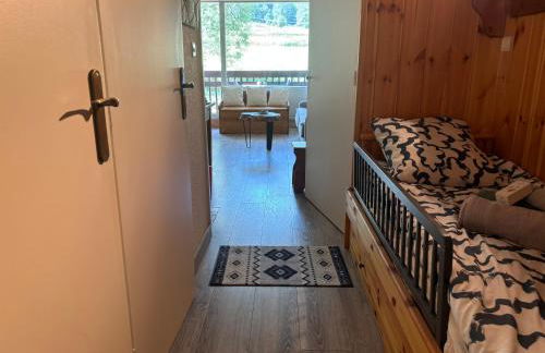 Studio Le P'tit Aigle pied des pistes et télécabine départ ski au pied - Photo 13