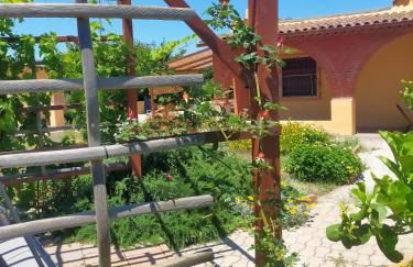 Casa Marina Lu Tuvaraggiu Casa vacanze - Photo 39