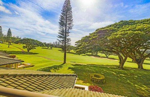 Spacious Lanai Retreat, Kapalua Maui - Foto 30