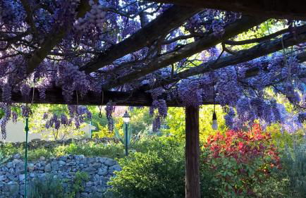 Villa conviviale au soleil avec piscine - Foto 1
