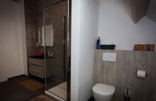 Villa With Swimming Pool in Erembodegem - Photo 28