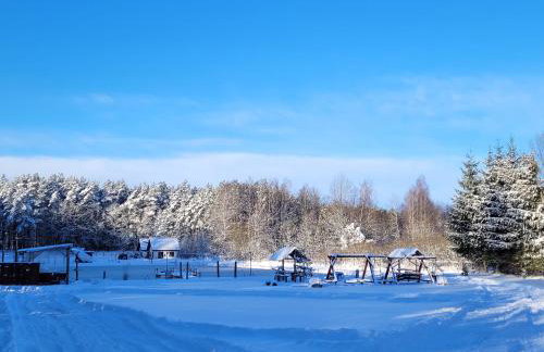 Domki nad stawem w Harszu - Foto 9