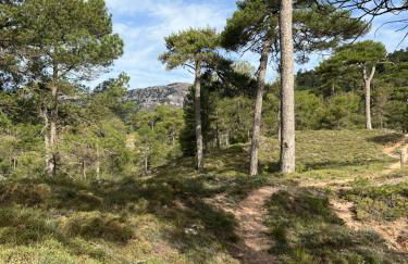 Dúplex Río Madera - Foto 38