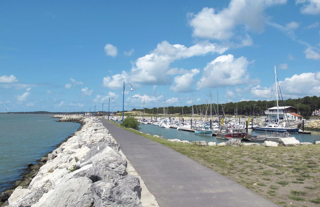 Les Ecureuils - Foto 26