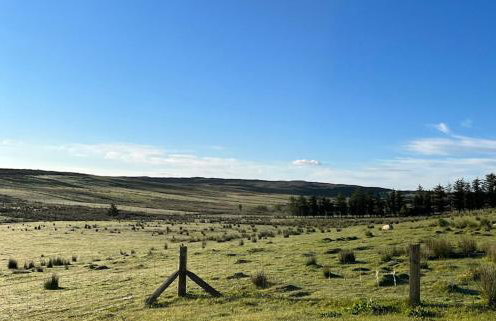 Taigh Mhurdaidh - Foto 22