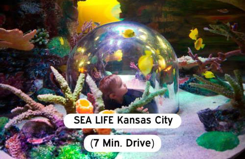 Chic 2BR-Parking, Rooftop,Near Arrowhd & TMobile - Foto 8