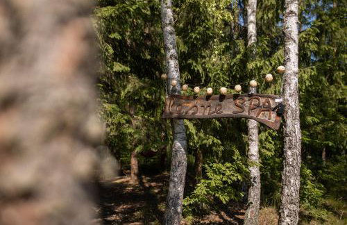 Głuszecki las - Foto 37