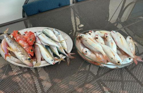 Appartamento LA COFFA (tecnica tradizionale di pesca locale) - Foto 36